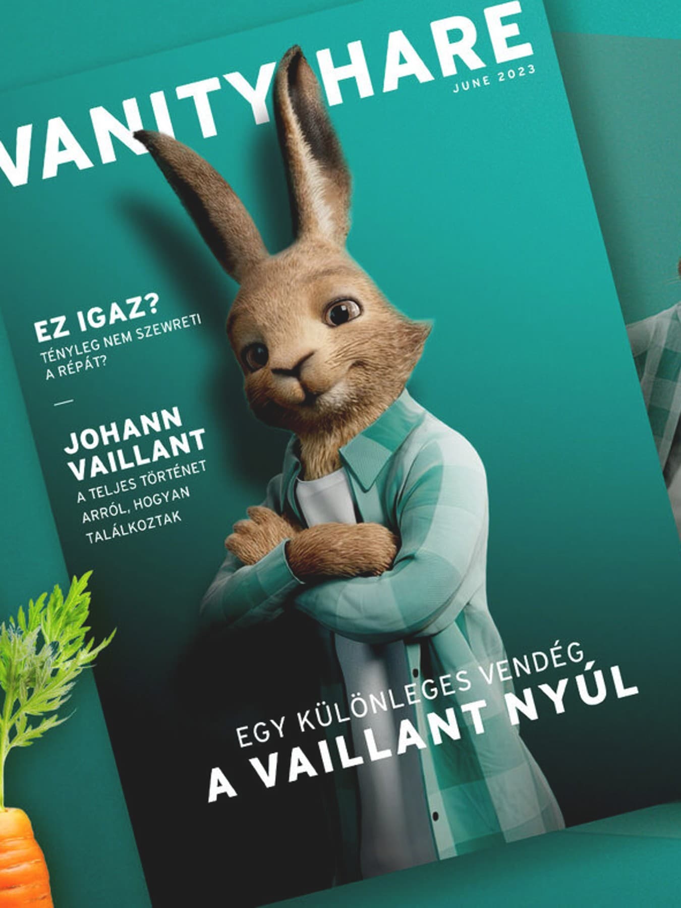 Hiúság nyúl borító