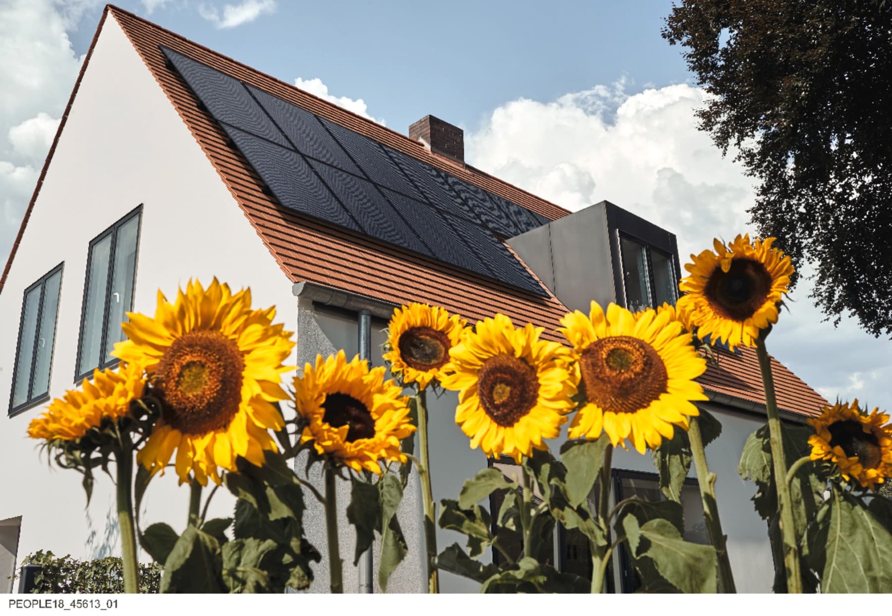 Egy ház áll nagy napraforgók mögött. A tetőn napelemek vannak felszerelve, hogy a napenergiát villamos energiává alakítsák.
