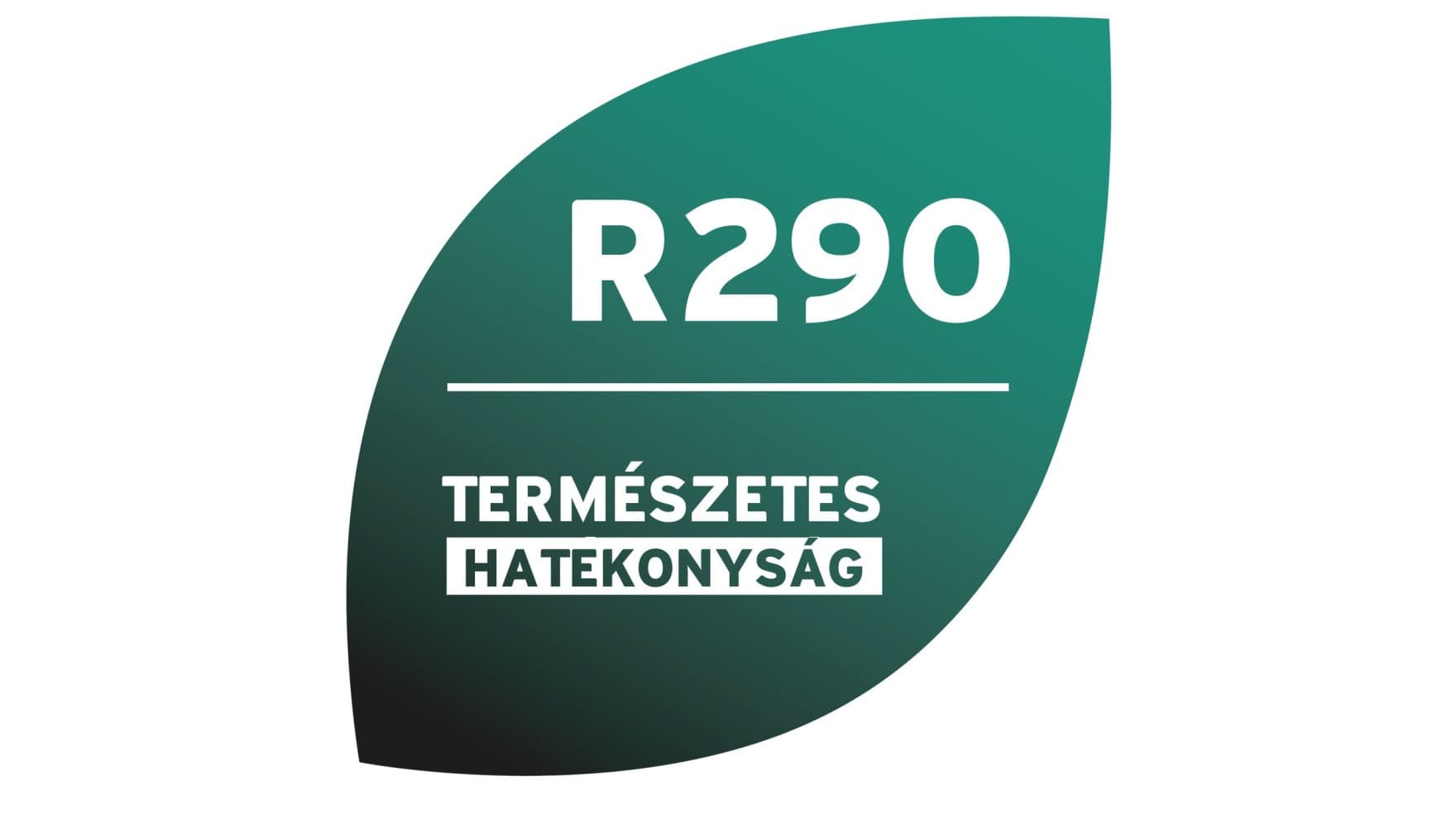 R290 jelvény