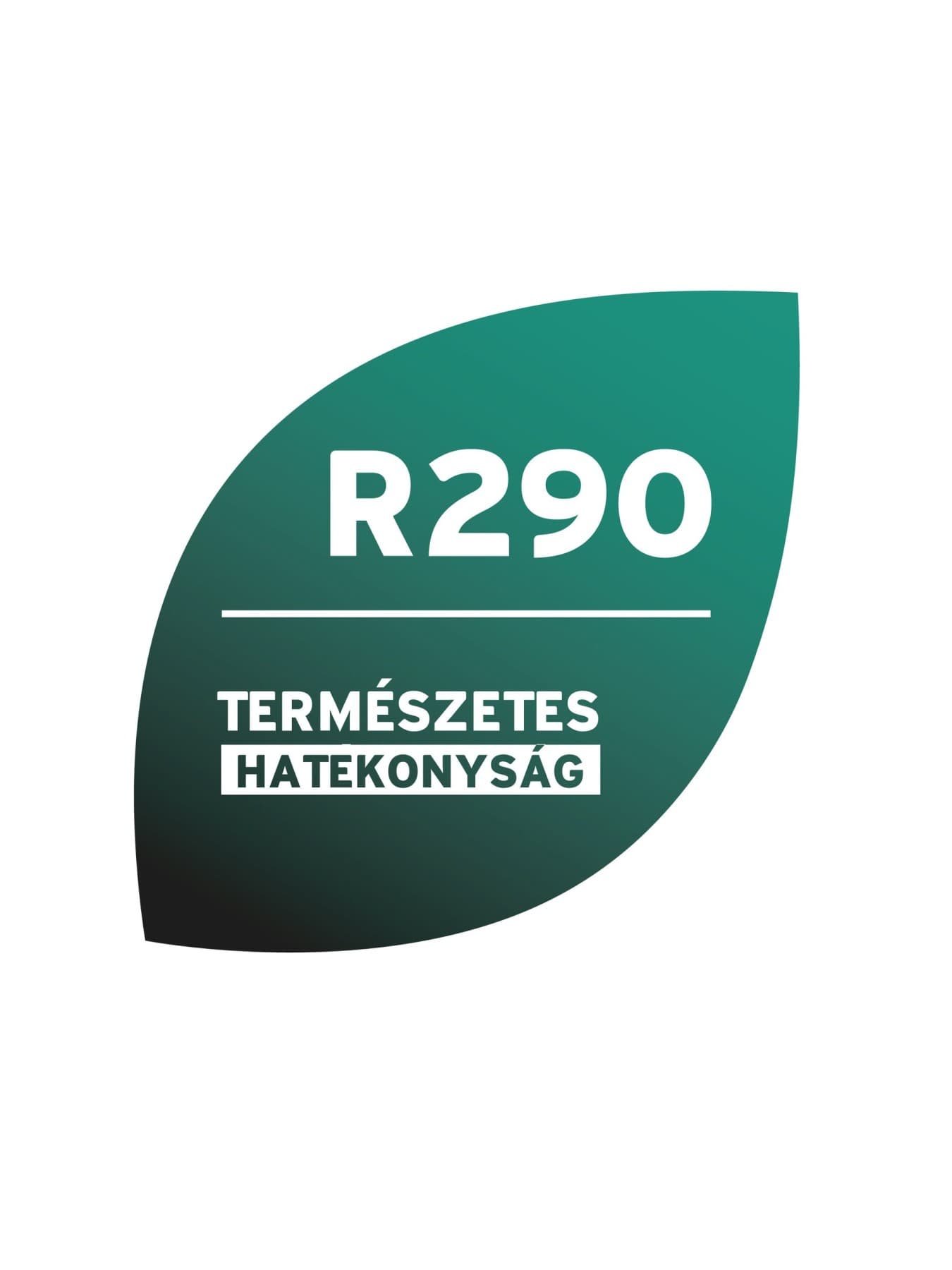 R290 jelvény