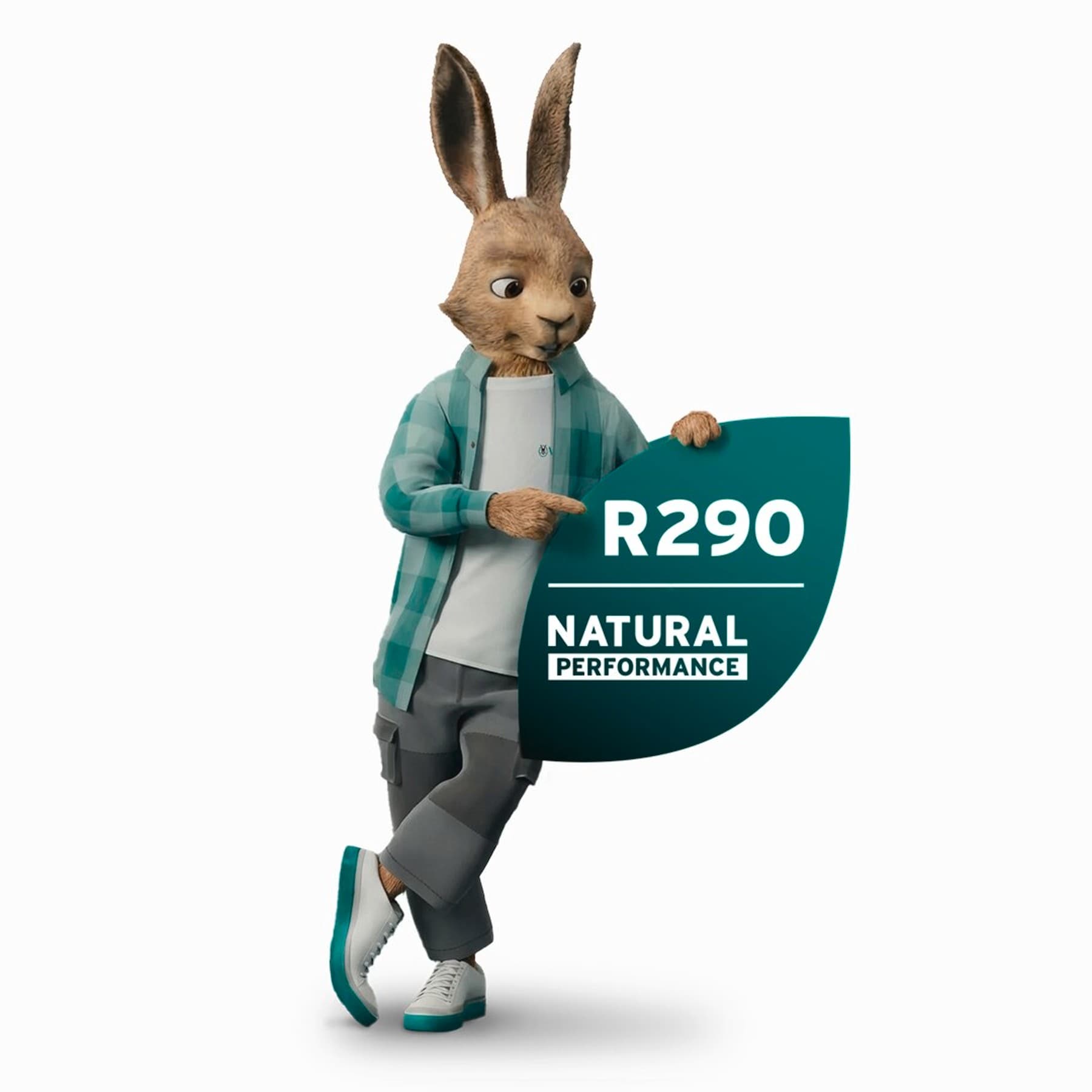 Vaillant nyúl R290 címkével
