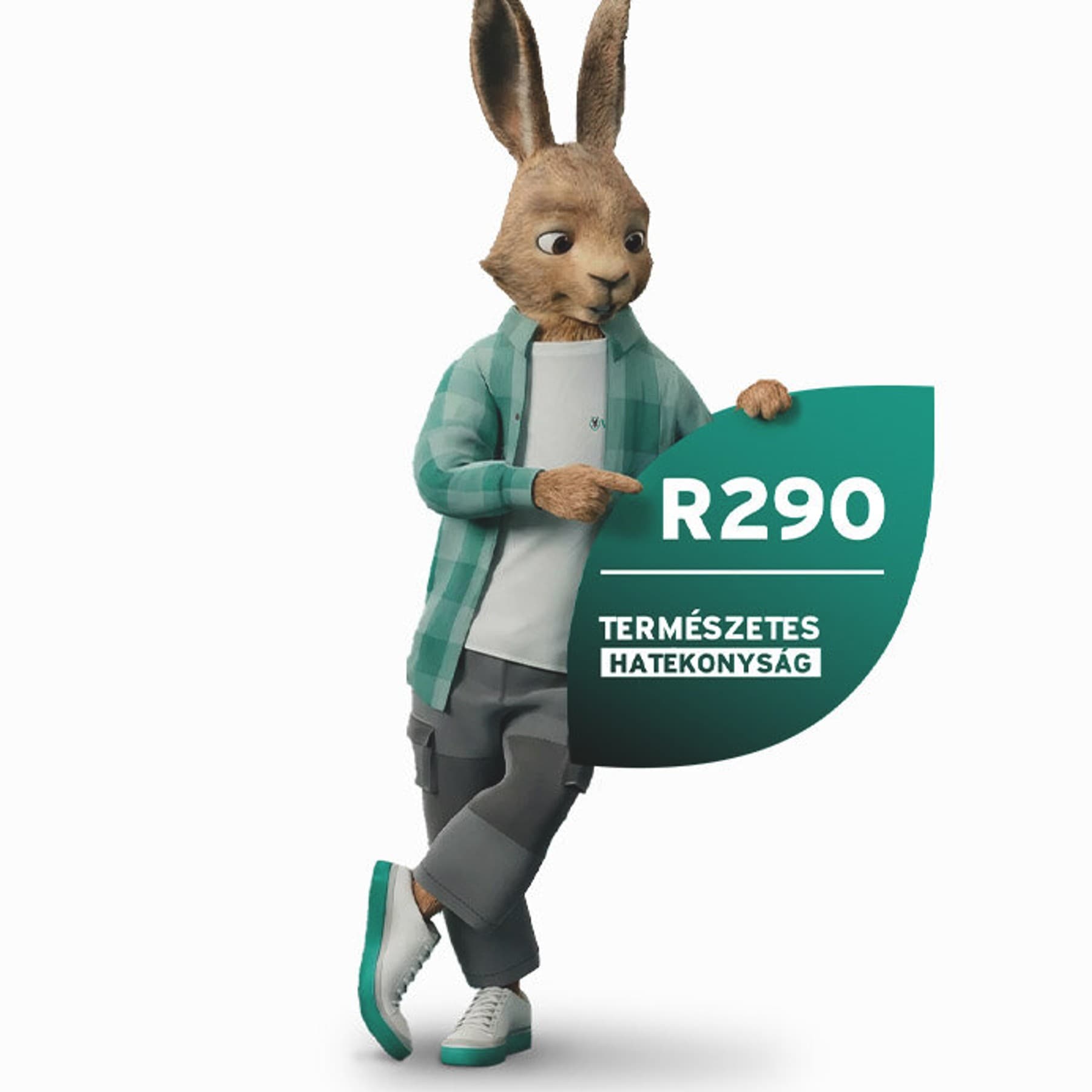 Vaillant nyúl R290 pecséttel